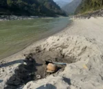 त्रिशूलीमा भेटिएको बसको आज पनि उत्खनन