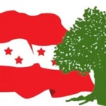 धादिङ कांग्रेसले ५१ वटै वडामा प्रतिनिधि खटायो