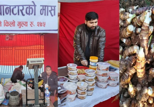 गल्छीको खुवा र सल्यानटारको मास, खरीको पिँडालुले ततायो धादिङ महोत्सव