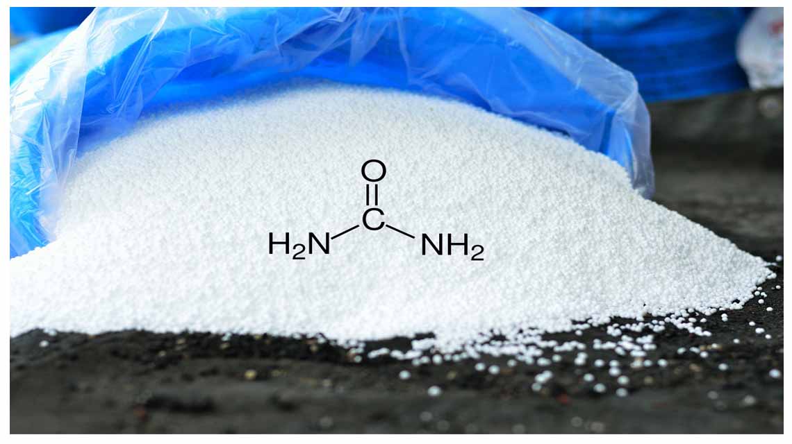 Fertilizer Urea