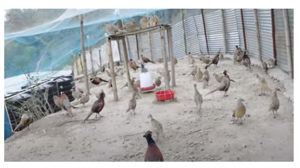 Agriculture and Farming