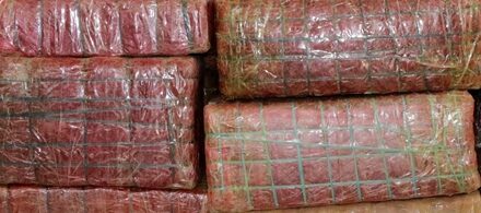 सर्लाहीमा लुकाएर राखेको एक क्विन्टल गाँजा बरामत