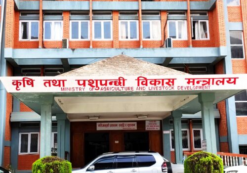 कृषि मन्त्रालयका सहसचिव डा. गैरे बर्खास्त