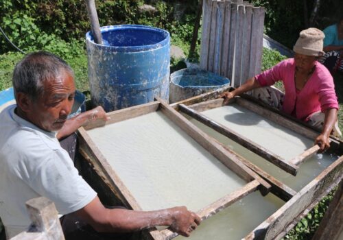नेपाली कागजबाट मासिक एक लाख आम्दानी लिँदै पासाङ शेर्पा