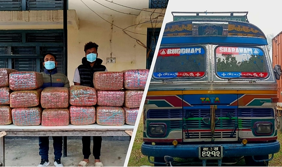 १६० किलो गाँजा र ट्रकसहित दुई जना पक्राउ