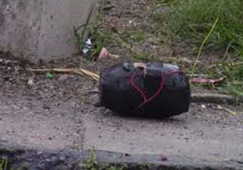 मन्दिर खन्ने क्रममा दुईवटा बम फेला