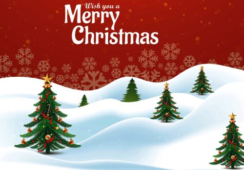 येशु ख्रीष्टको जन्म दिनको सम्झनामा आज ‘क्रिसमस डे’ मनाइँदै