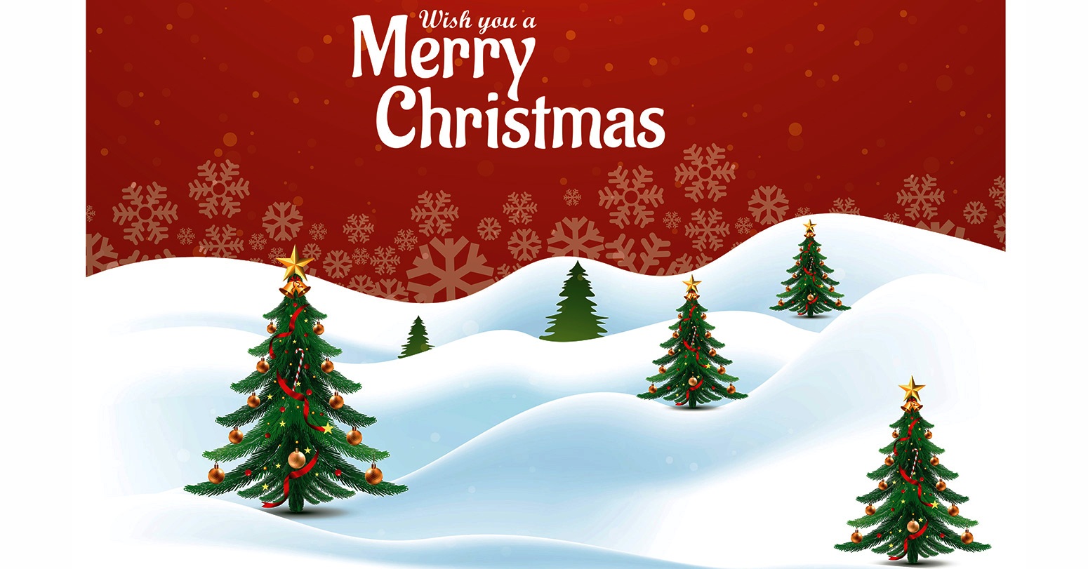 येशु ख्रीष्टको जन्म दिनको सम्झनामा आज ‘क्रिसमस डे’ मनाइँदै