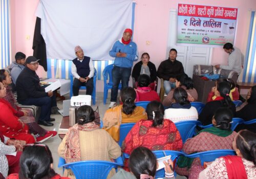 जिल्ला सदरमुकाम धादिङबेसीबासीलाई कौशी खेती तालिम