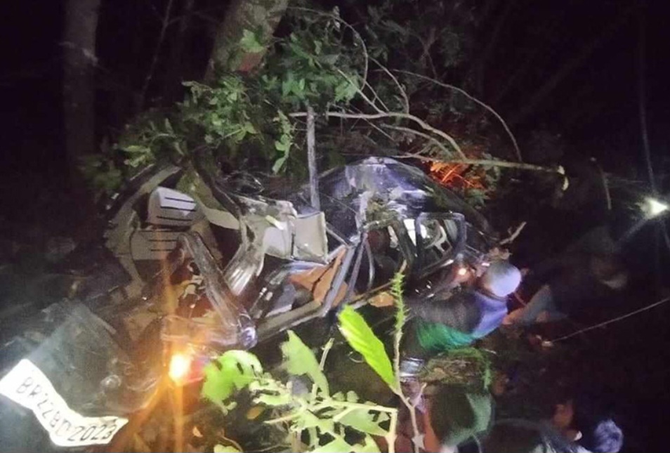 पाल्पामा जिप दुर्घटना हुँदा ६ जना घाइते