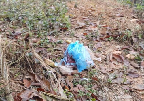 धादिङमा बारीको पाटामा भेटियो शिशुको शव