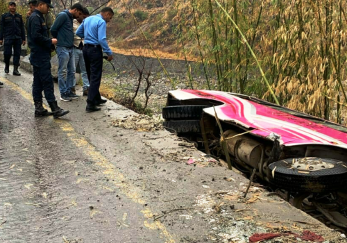 बिपी राजमार्गमा बस दुर्घटना हुँदा ११ जना घाइते