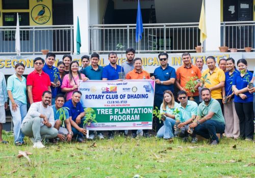 रोटरी क्लब अफ धादिङद्वारा देउराली माविमा वृक्षारोपण 