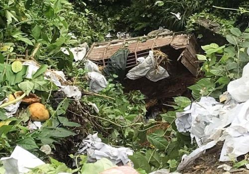त्रिशुली किनारमा मिनी ट्रक खस्यो, दुई जना घाइते