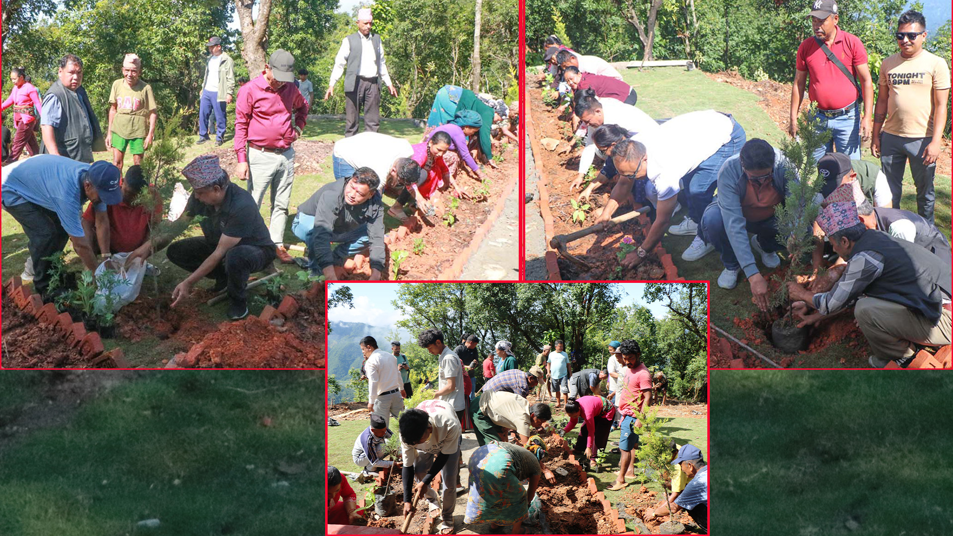 धादिङको हिरक पार्क क्षेत्रमा ४ हजार विरुवा रोपियो