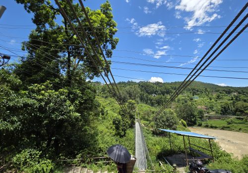 ठूलै विपत्ति कुरेर बस्छ विद्युत प्राधिकरण