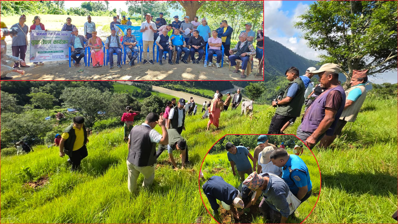 निजामती सेवा दिवसको अवसरमा धादिङमा वृक्षारोपण