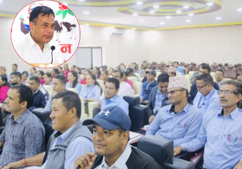 गुणस्तरिय शिक्षासहित शत प्रतिशत नतिजा हाम्रो जोड होः नगर प्रमुख ढुंगाना