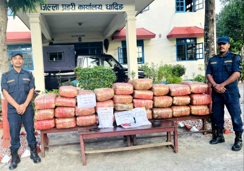 २१९ केजी गाँजा र २ केजी पोल्याङसहित धादिङबाट ४ जना पक्राउ