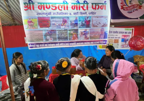 धादिङ महोत्सवमा १ लाख रुपैयाँको चिउरीको मह विक्री