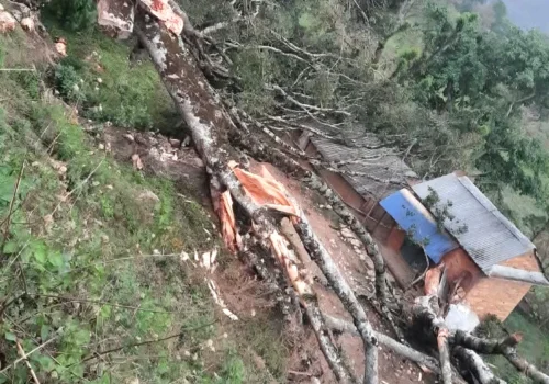 हावाहुरीले ढलेको रुखले लाग्दा धादिङमा एकको मृत्यु