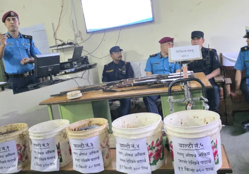 धादिङमा ५१ किलो अफिम र तीन वटा भरुवा बन्दुक बरामद