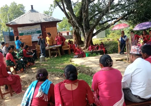 धादिङका कृषकहरूबीच हाजिरीजवाफ प्रतियोगिता