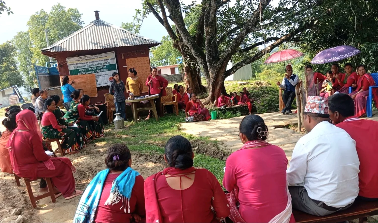 धादिङका कृषकहरूबीच हाजिरीजवाफ प्रतियोगिता